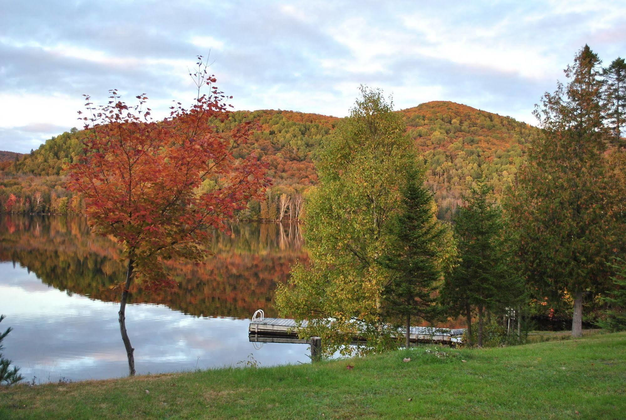 Motel Ours Bleu Lac-Saguay Bagian luar foto